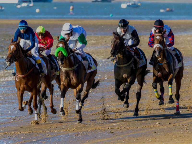 Carrera de caballos en la playa con jinetes en competición.