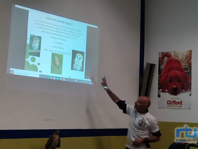 Persona explicando sobre rapaces en una presentación de PowerPoint en una sala de conferencias.