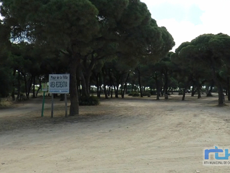 Área recreativa bosque de pinos en Chipiona, España.