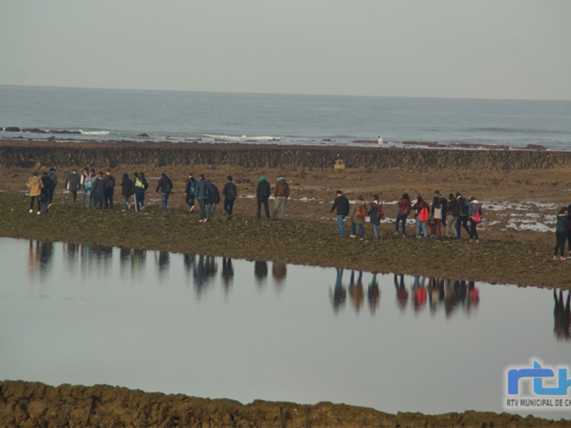 Una multitud de personas camina en fila por la orilla del mar, con su reflejo visible en el agua. La escena es tranquila y soleada.