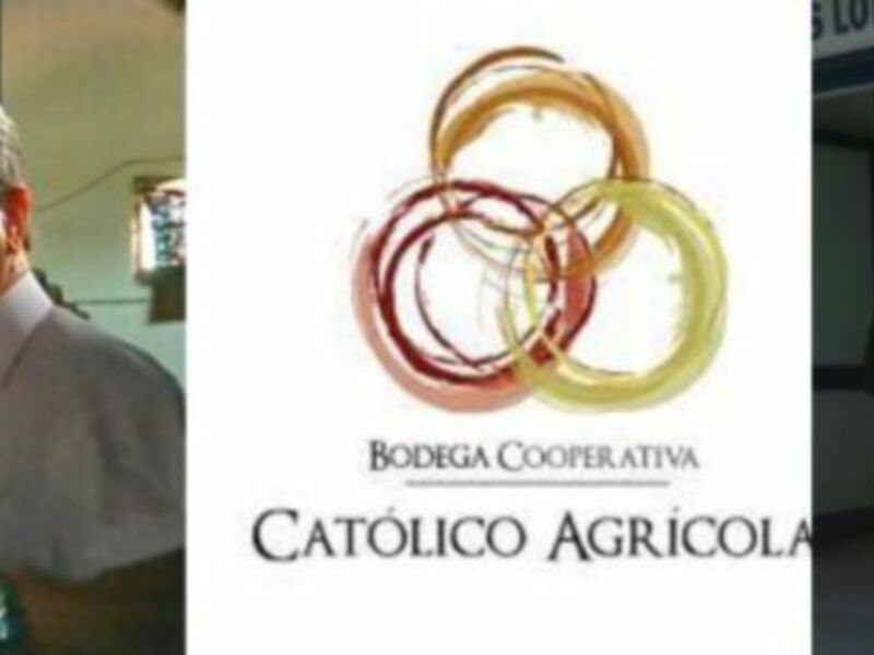 Bodegas Católicas Agrícolas: Cooperativa de vino con tradición y calidad en España.