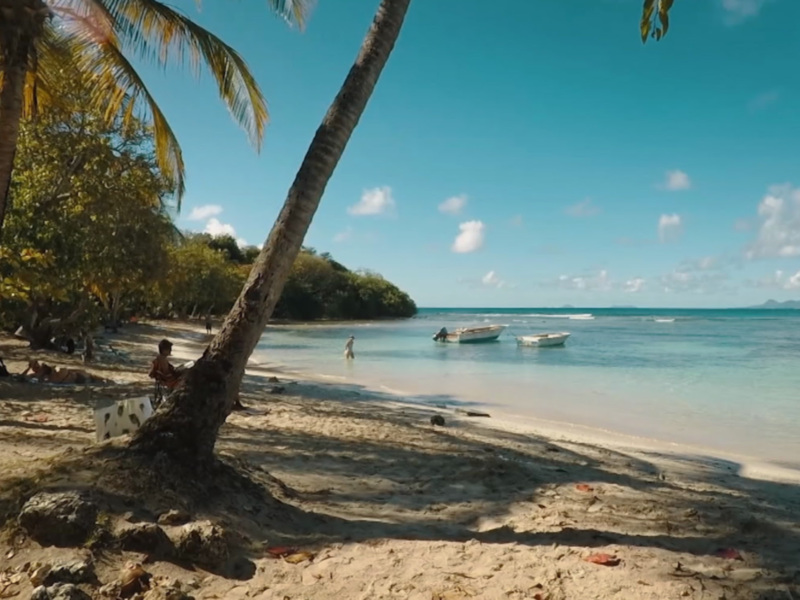 Playa tranquila con palmeras y barcos, perfecta para la relajación.