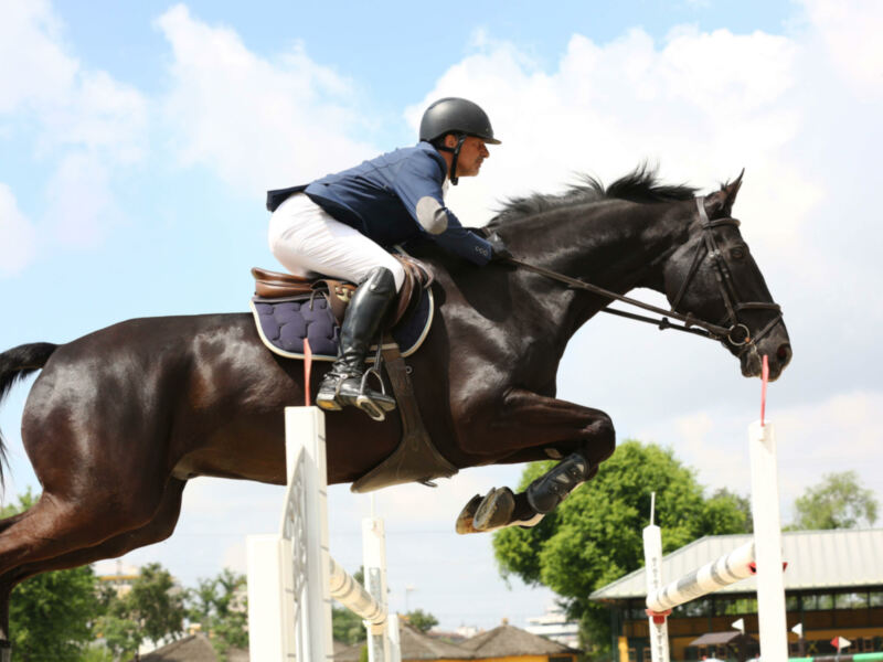 Jockey saltando en un salto de equitación en un día soleado.