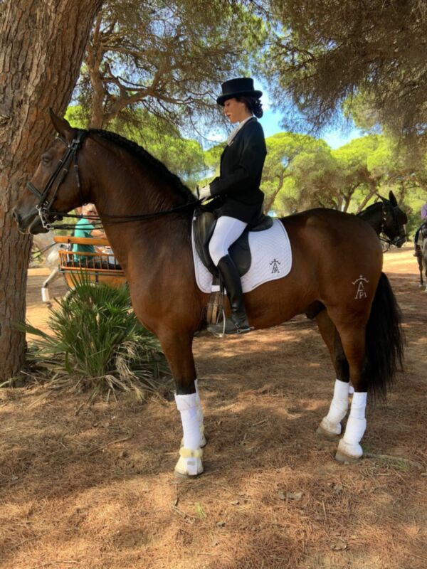 Jinete en traje de equitación clásico montando un caballo castaño en un entorno boscoso.