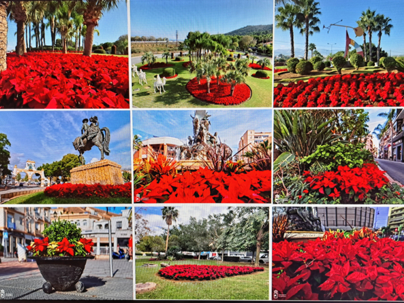 Vista panorámica de una plaza decorada con flores rojas y estatuas históricas, rodeada de árboles y edificios urbanos.