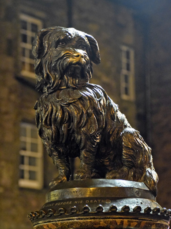 Estatua de bronce de un perro sentado, con inscripción en su base, iluminada por la noche.