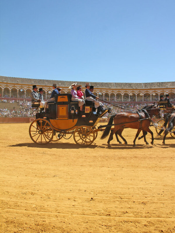 Carruaje y caballos en la plaza de toros de Ronda, España.