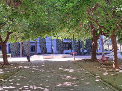 La sombra de la Buhaira, posiblemente la mejor sombra de Sevilla.