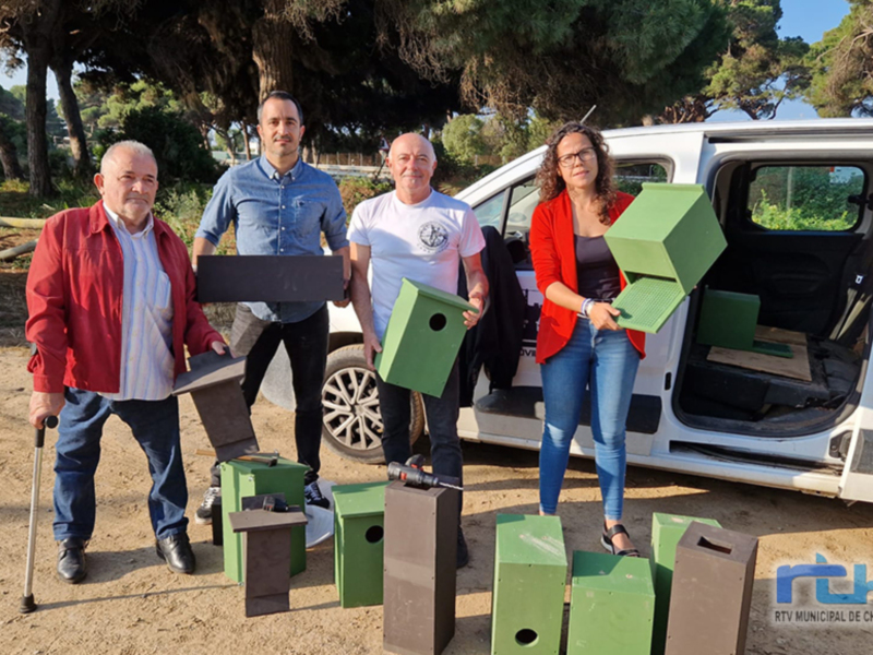 Voluntarios con casas de pájaros y herramientas en un parque, RTV Municipal de Chipiona.