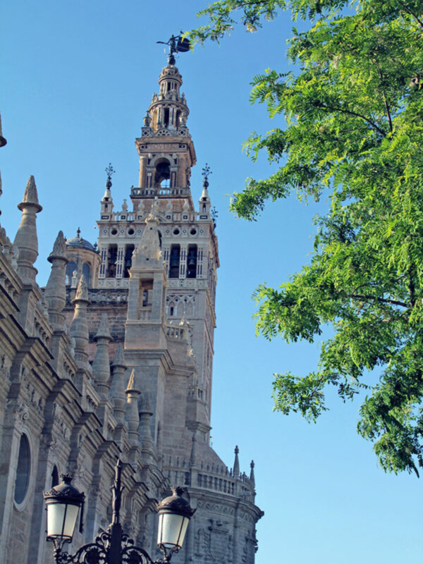 La Giralda, la emblemática torre de la Catedral de Sevilla, bajo un cielo azul claro y con ramas de árbol en primer plano.