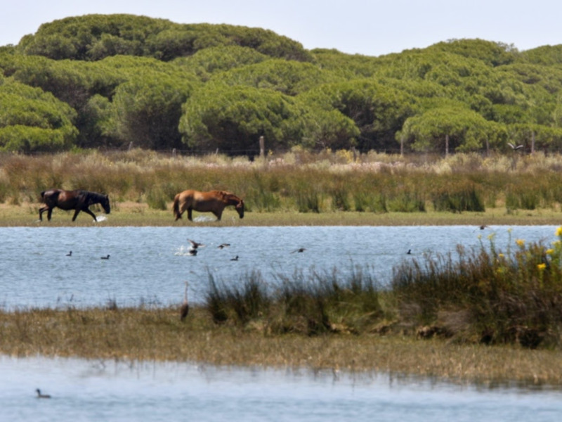 "Andalucía por el Mundo" se interna en el Gante más monumental Canal Sur TV | Domingo, 22:55 h. El programa de Canal Sur muestra la ciudad belga co
