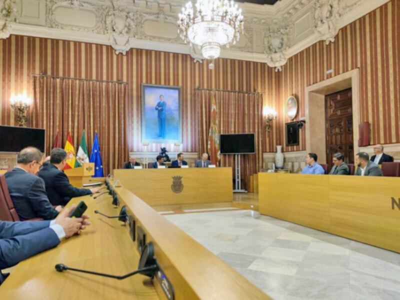Reunión oficial en un salón con decoración clásica y banderas de España y la Comunidad de Madrid.