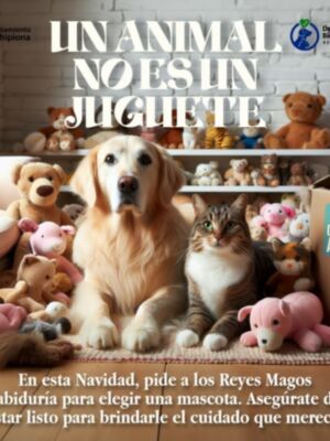 La Delegación de Bienestar Animal y las dos protectoras de animales de la localidad lanzan la campaña de concienciación ‘Un animal no es juguete’