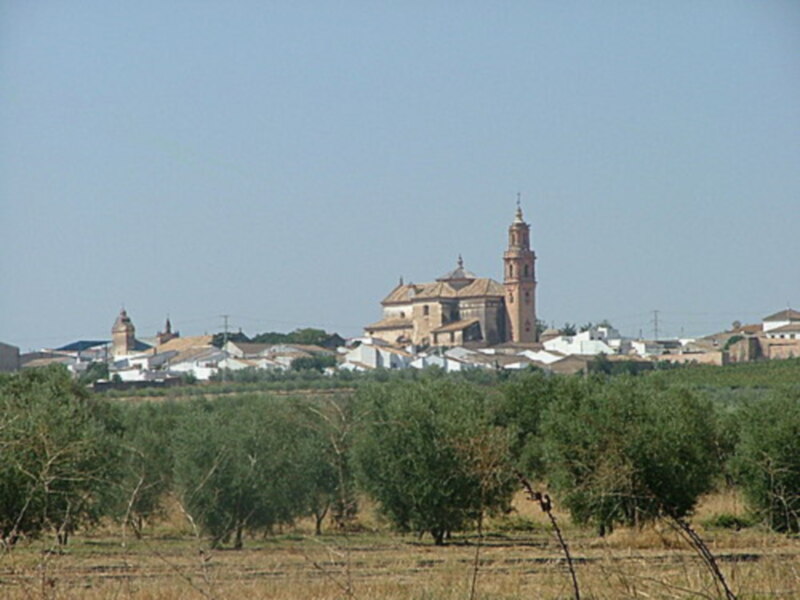 Vista de un pueblo con iglesia y olivar en primer plano, bajo un cielo claro.