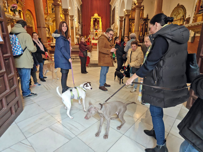 Visita a una iglesia con perros y sus dueños, en un ambiente acogedor y cultural.