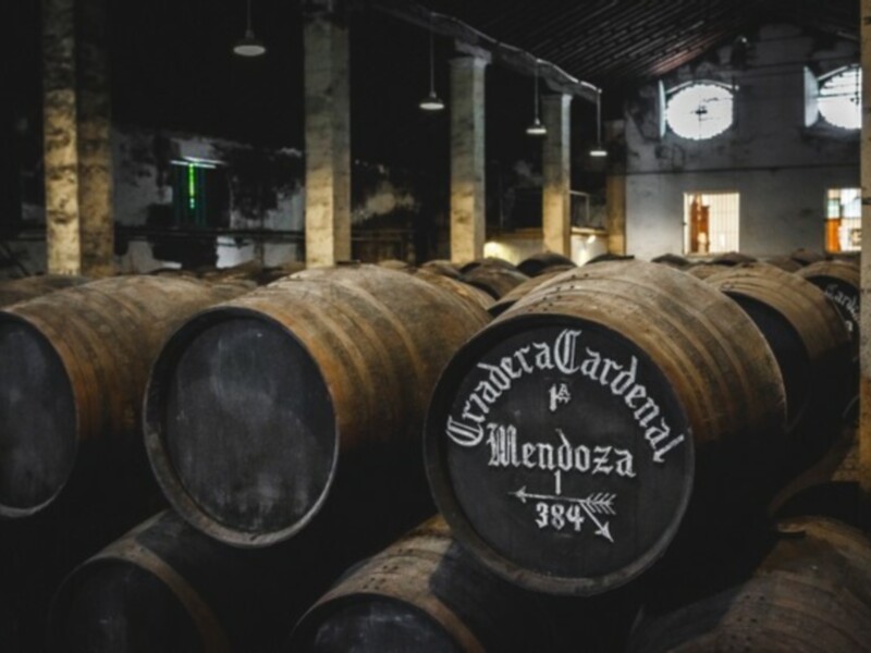 Barrels of Mendoza wine in a dimly lit storage room.