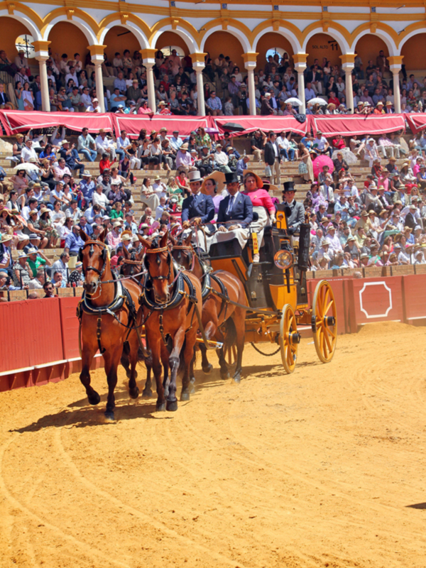 Carruaje de caballos y carruaje en una plaza de toros con espectadores en el fondo.