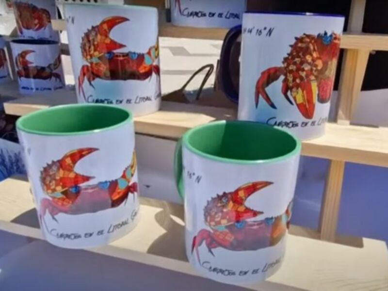 Tazas decoradas con dibujos de cangrejos en una exhibición al aire libre.