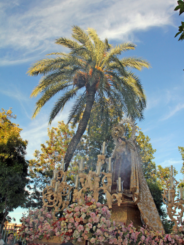 Procesión con imagen de Virgen María en un carro ornado con flores y candelabros, bajo un árbol de palma.