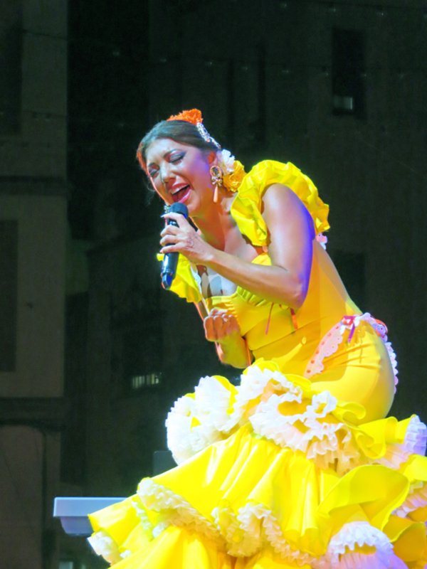 Cantante en traje de flamenca cantando en escenario.
