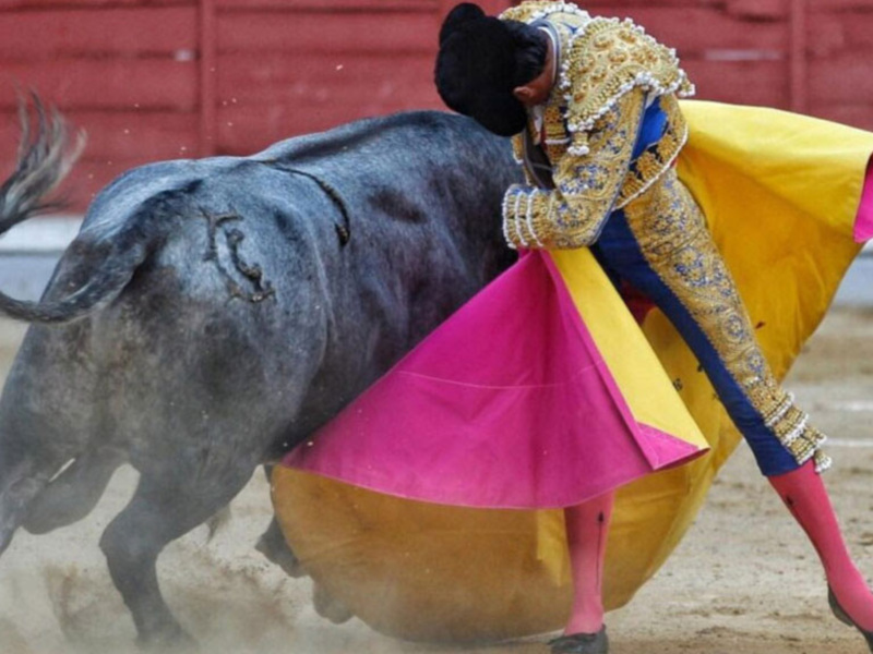 Un torero en traje de luces se enfrenta a un toro en una plaza de toros.
