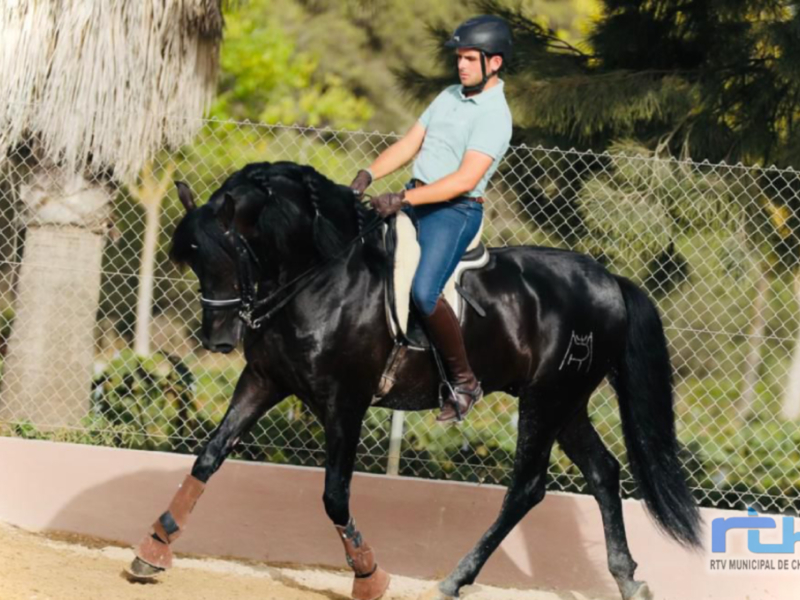 Jinete en un paseo a caballo en un recinto de arena, rodeado de vegetación y con una cerca de alambre de hierro.