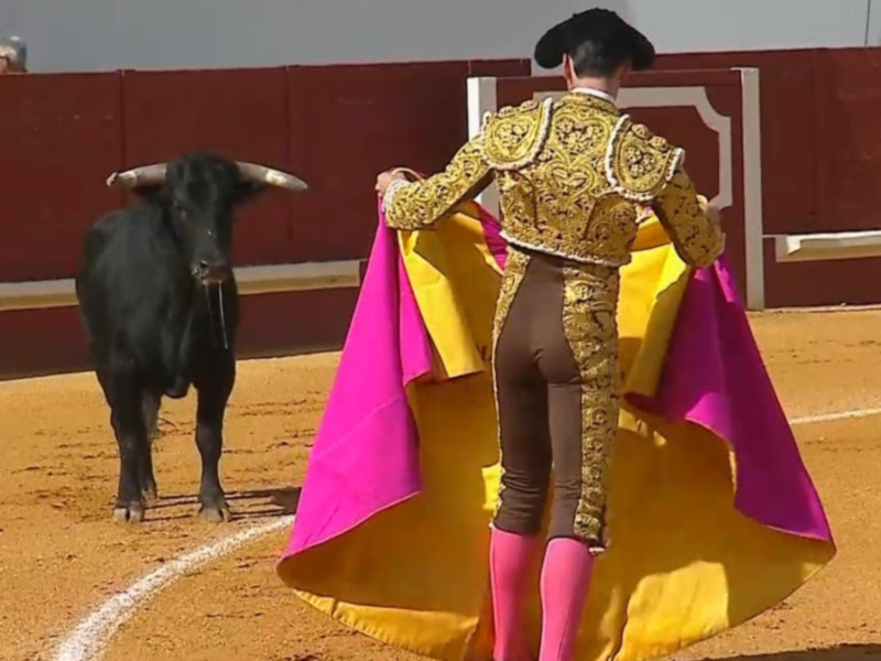 Toreador en traje de luces frente a un toro en una plaza de toros.