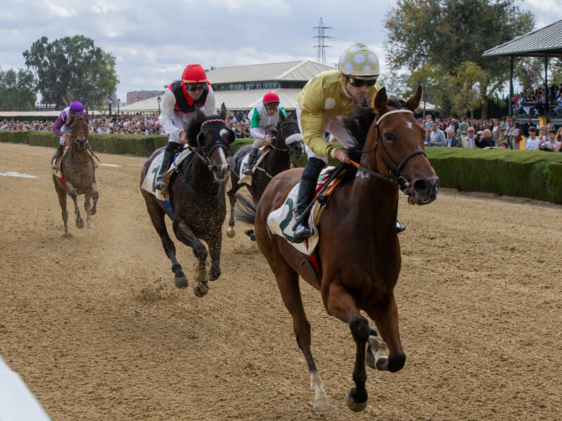 Horse racing event with jockeys and horses on a dirt track.
