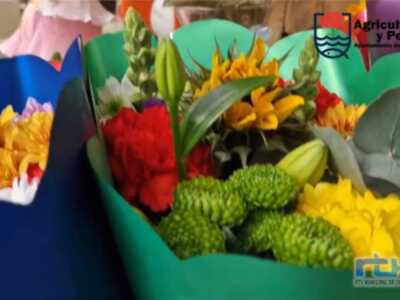 Agricultura vuelve a lanzar un vídeo para fomentar el consumo de flores de Chipiona por el Día de los Enamorados