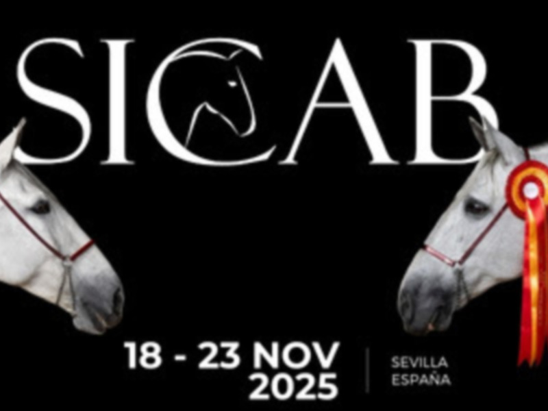 SICAB consolida la categoría de Feria Internacional en España por segundo año consecutivo   