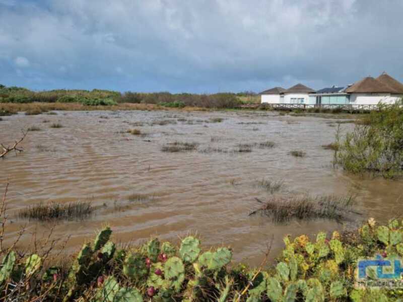 Áreas inundadas en una zona costera con vegetación típica y estructuras de techo de paja en el fondo.