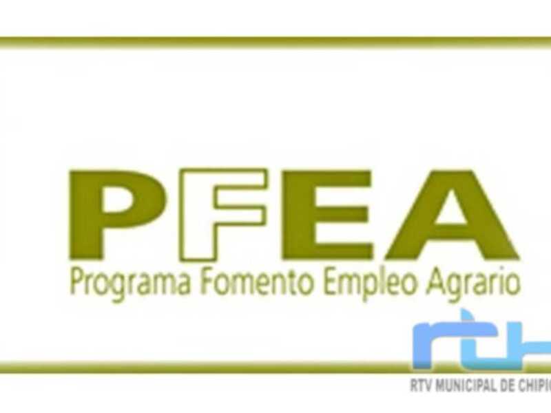 Logotipo del Programa de Fomento al Empleo y la Actividad Agraria (PFEA) de Chipiona.