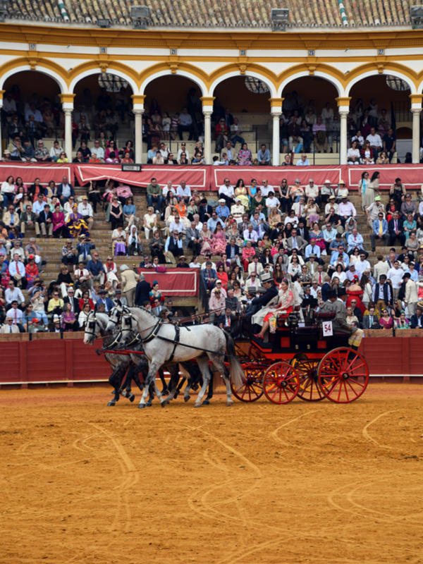 Carruaje de caballos en un ruedo de toros con espectadores en la grada.