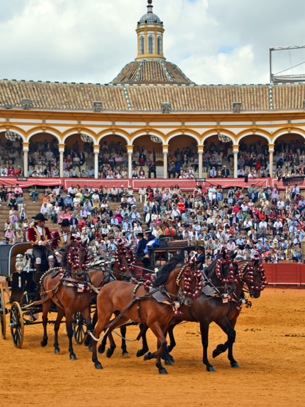 Cabalgata de carruajes en la plaza de toros de Sevilla, con espectadores en el fondo.