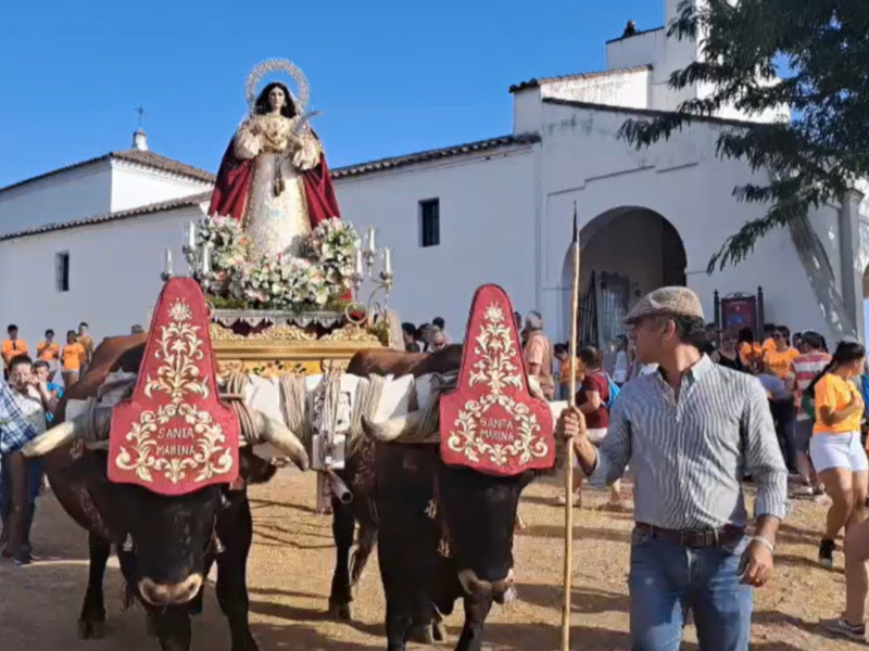 Procesión con imagen religiosa en carroza tirada por bueyes, ante una iglesia blanca, con gente participando en el evento.