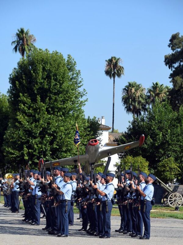 Desfile militar con avión y bandas de música en una plaza con palmeras y árboles.