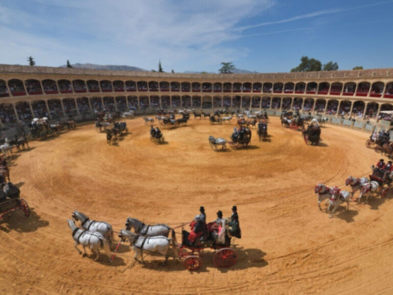 Imagen de un evento ecuestre en una arena ovalada con caballos y carros participando en una competencia.