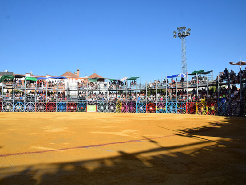 Un estadio de fútbol con gradas llenas, un césped amarillo y una torre de iluminación en el fondo.
