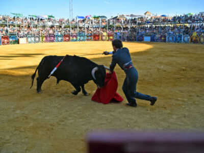 El pundonor de Bombita y la solvencia de Cristóbal de Lara marcan el último festejo en La Algaba (Sevilla)