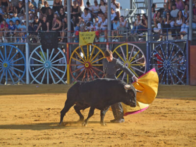 El pundonor de Bombita y la solvencia de Cristóbal de Lara marcan el último festejo en La Algaba (Sevilla)