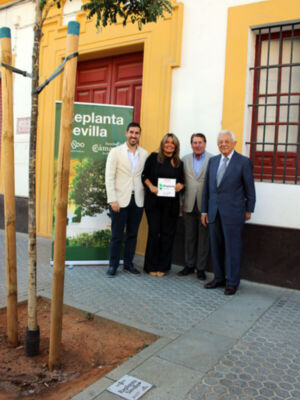 La Cámara de Comercio y el Ayuntamiento  de Sevilla refuerzan el patrimonio verde con 208 nuevos árboles