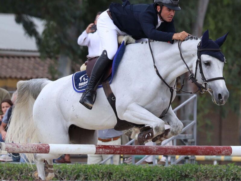 Un caballo blanco y un jinete en una competencia de saltos, el caballo salta sobre una cerca roja y blanca mientras el jinete mantiene la postura firme.