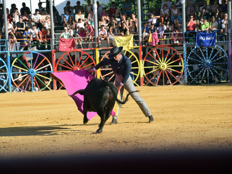 Un vaquero en un rodeo, montando un toro negro con una capa rosa. El fondo muestra un público en el stands y un fondo de carros de ruedas multicolores.
