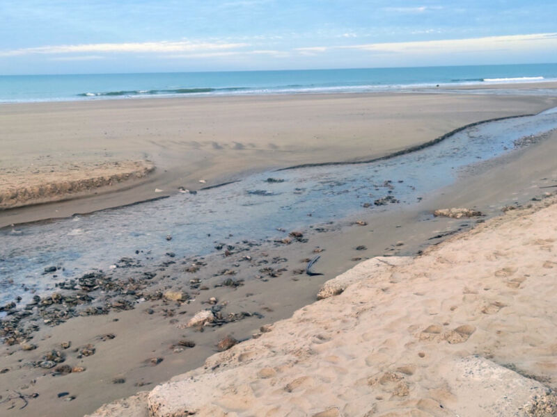 Playa con dunas y agua salada, vista desde la orilla.