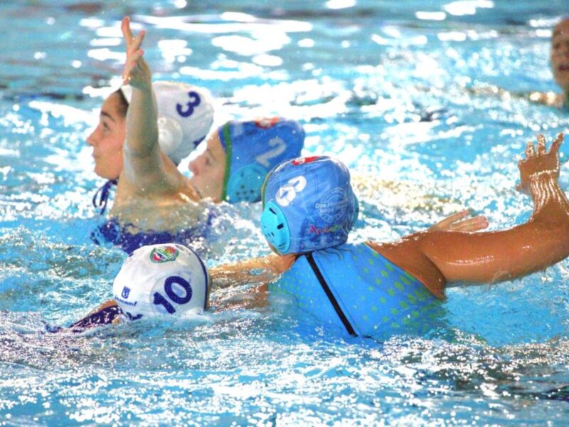 Jugadoras de waterpolo en acción, con cascos azules y rojos, nadando y luchando por el balón en una piscina clara.