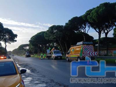 Tano Guzmán informa de una actuación urgente en la A-491 por riesgo de caída de pinos debilitados tras los últimos temporales